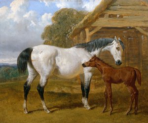 Eine Stute und Fohlen vor einer Scheune, 1854 von John Frederick Herring Senior