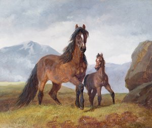 Eine walisische Bergstute und Fohlen, 1854 (Tafel) von John Frederick Herring Senior