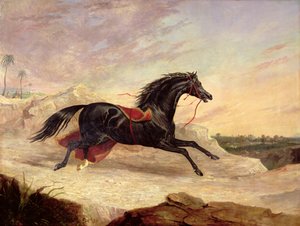 Araber jagen ein loses arabisches Pferd in einer östlichen Landschaft von John Frederick Herring Senior