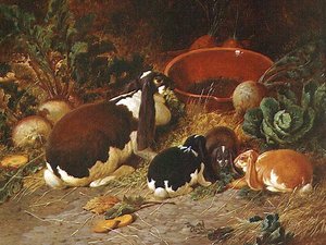Zierkaninchen, eine Häsin mit ihren Jungen von John Frederick Herring Senior