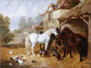 Pferde in einem Bauernhof