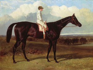 Jonathan Wild, ein dunkelbraunes Rennpferd, in Goodwood, T. Ryder auf, 1846 von John Frederick Herring Senior