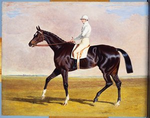 Lucetta mit J. Robinson, 1834 von John Frederick Herring Senior
