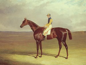 Mr. M. Stanleys Krücke auf Newmarket Heath, 1833 von John Frederick Herring Senior