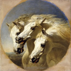 Pharaos Pferde, 1848