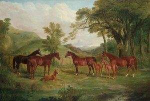Die Streatlam-Zucht, Stuten und Fohlen, 1836