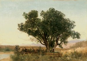 Die Front Range, Colorado von John Frederick Kensett
