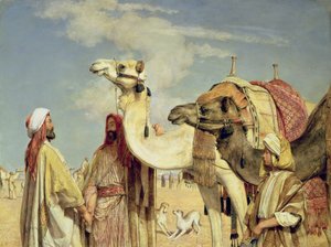 Begrüßung in der Wüste, Ägypten