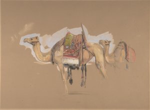 Zwei Kamele von John Frederick Lewis