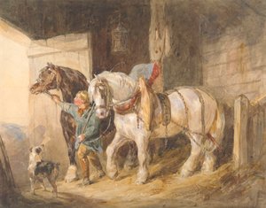 Stallbursche mit Kaltblutpferden
