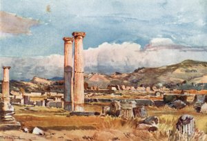 Olympia. Die Palaestra und Überreste des Zeus-Tempels von John Fulleylove