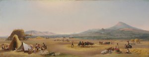 Ernte auf der römischen Campagna