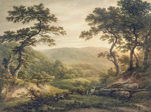 Nadelwald, Hampshire