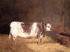 Shorthorn-Kuh von John Goode