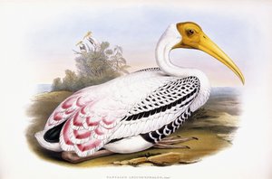 Bemalter Storch