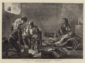 Desperados und Eindringlinge von John Haynes Williams