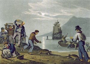 Schildkrötenfang an Land, graviert von Matthew Dubourg, veröffentlicht von Edward Orme, 1813