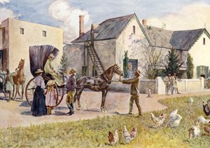 Eine südafrikanische Farm