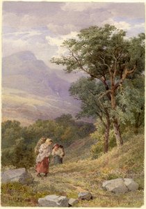 In der Nähe von Tarbet, Loch Fyne