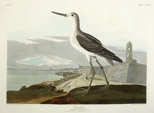 Grünschenkel, Ansicht des St, 1835