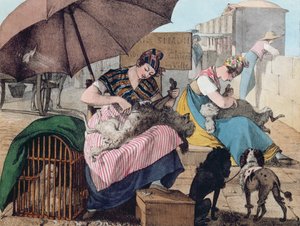 Hundeschneider auf der Pont-Neuf