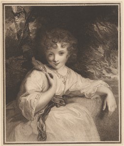 Robinetta von John Jones
