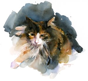 Dreifarbige Katze