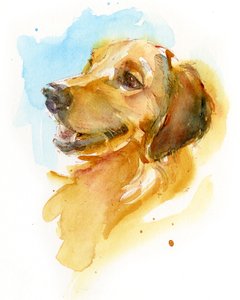 Golden Retriever, 2017 von John Keeling