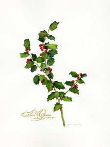 Stechpalme botanisch, 2013