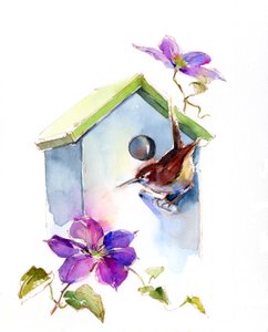 Zaunkönig mit Vogelhaus und Clematis von John Keeling