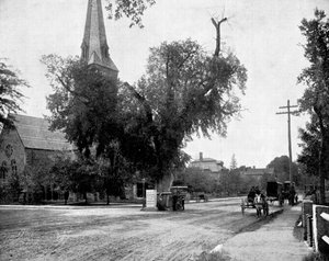 Washington Elm und Gedenkstein, Cambridge, Massachusetts, USA