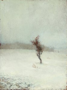 Schneesturm 1865