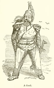 Ein Gallier