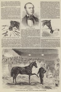 Mr. J. S. Rarey, der amerikanische Pferdebändiger