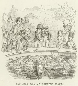 Der Goldfisch in Hampton Court von John Leech