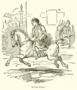 Junger Varro