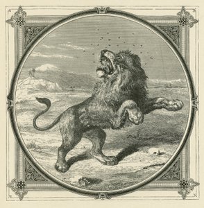 Die Mücke sticht die Augen des Löwen (Gravur) von John Leighton