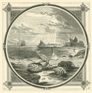 Der Gebissene beißt von John Leighton
