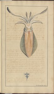 Lindsay Zeichnungen Vol. VII, 29