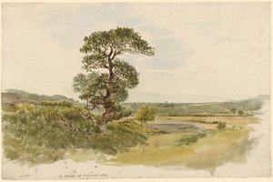 Landschaft in Snowdonia mit einem Baum im Vordergrund von John Linnell