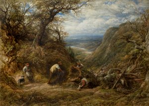 Der hohle Baum