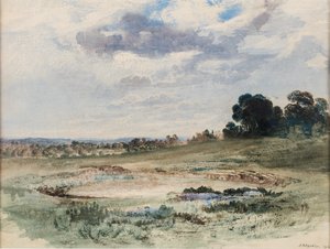 Landschaft (möglicherweise Richmond Park, London)