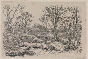 Gefälltes Holz, Burningham von John Middleton