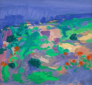 Landschaft der Algarve
