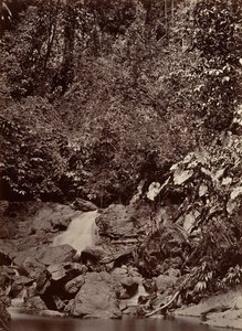 Tropische Landschaft, Wasserfall, Limon River, 1871