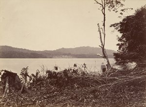 Tropische Landschaft, Darien Harbor, Chipigana, 1871 von John Moran