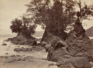 Tropische Landschaft, Limon Bay - Ebbe, 1871 von John Moran