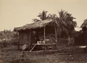 Tropische Landschaft, Einheimische Hütte, Turbo, 1871