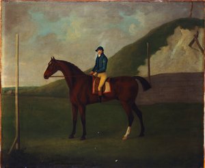 "Creeper", ein braunes Fohlen mit Jockey am Startpunkt am Running Gap im Devils Ditch, Newmarket