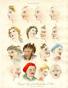 Äußere Zeichen der Leidenschaften von Le Brun von John Pass